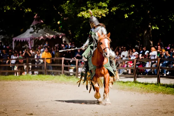 transfert taxi nantes vers puy du fou